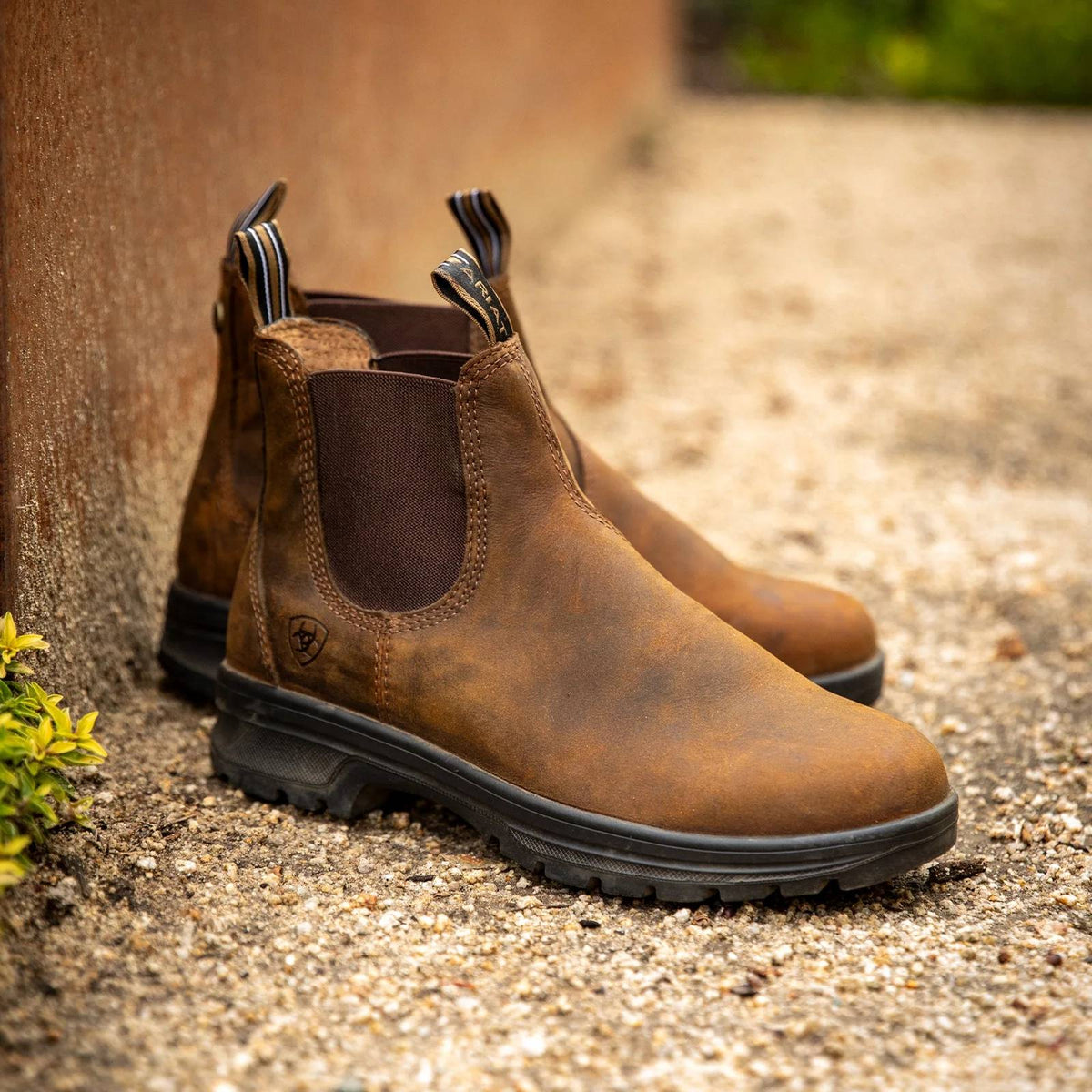 Ariat Women's Cooper Chelsea Boots - Distressed Copper