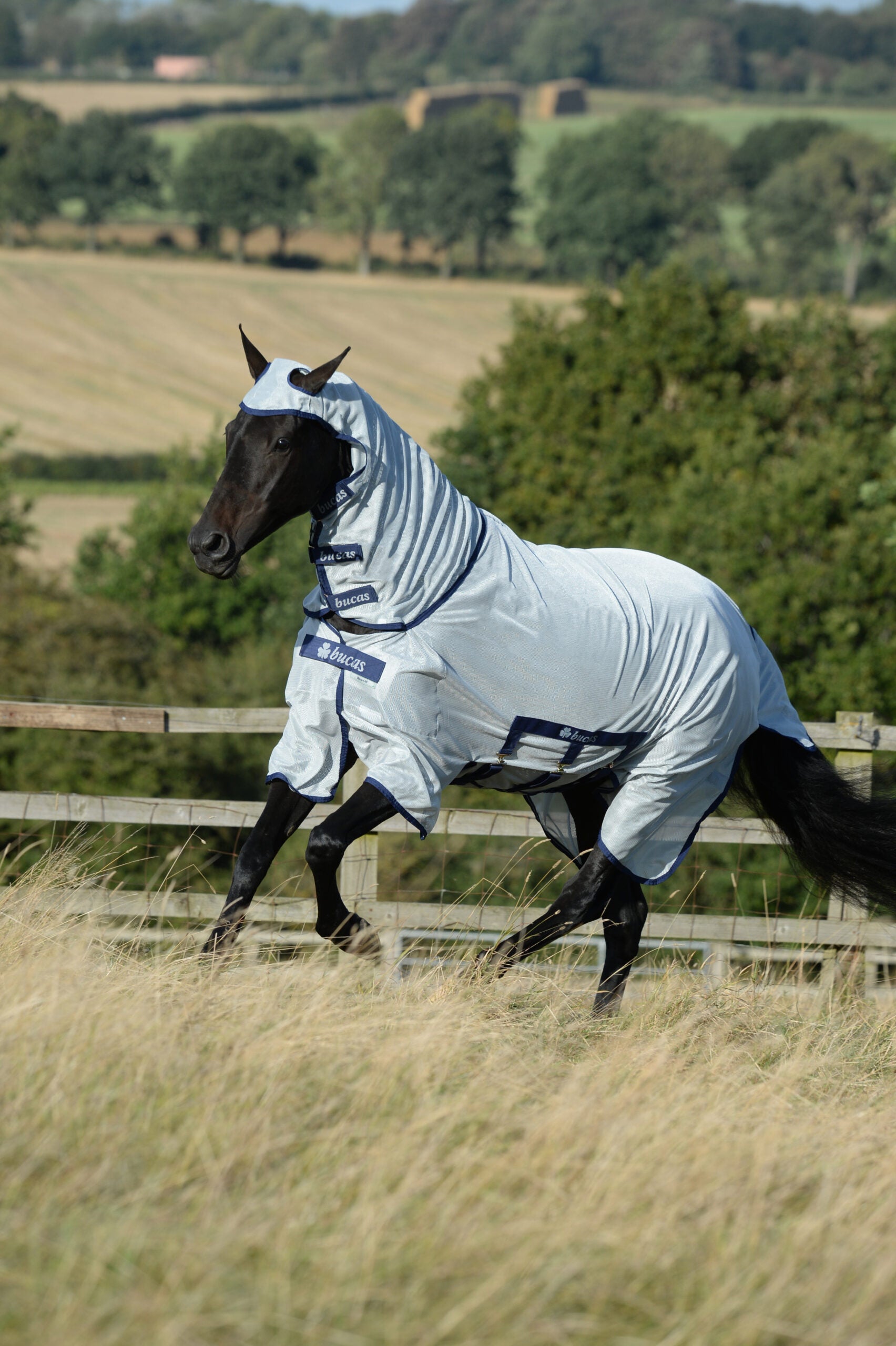 Bucas Buzz-Off X Fly Sheet Full Neck Silver