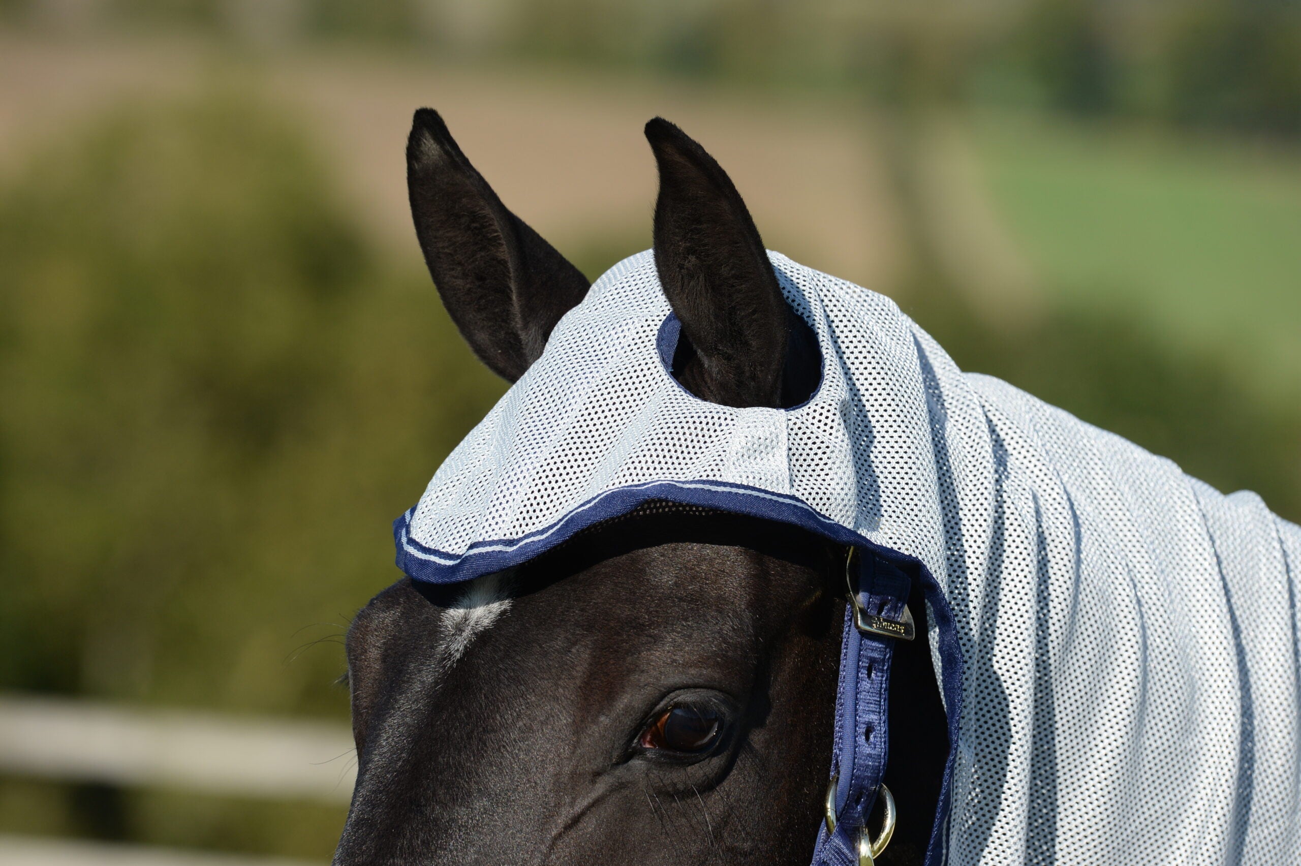 Bucas Buzz-Off X Fly Sheet Full Neck - Silver