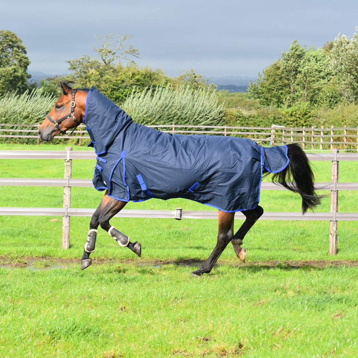 TRI Arkle 100g Full Neck Turnout Rug - Navy-Blue