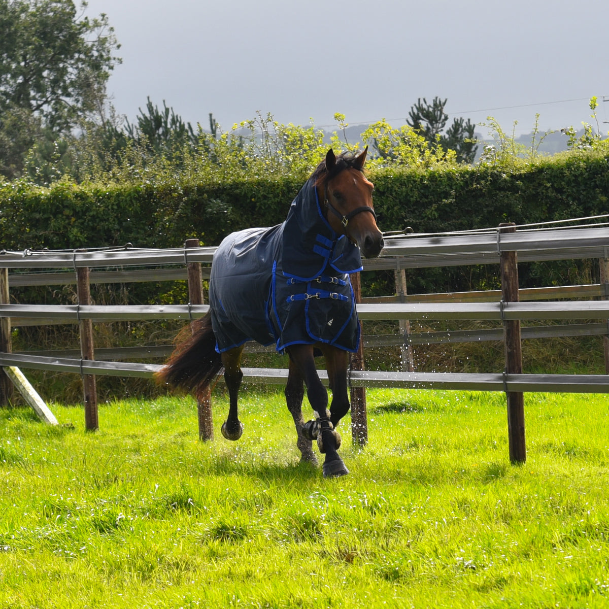 TRI Arkle 100g Full Neck Turnout Rug - Navy-Blue