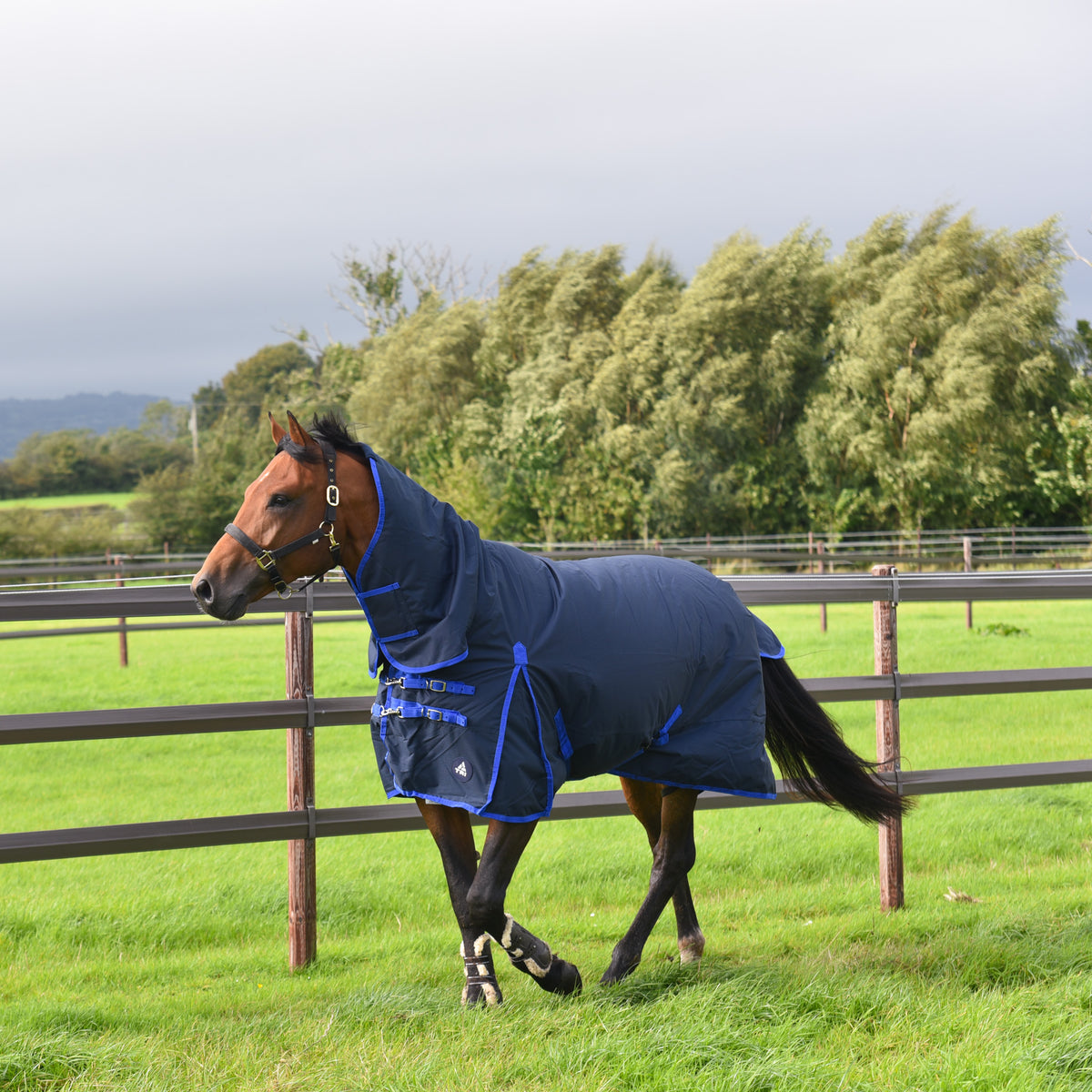 TRI Arkle 100g Full Neck Turnout Rug - Navy-Blue
