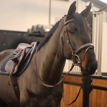 Tesoro Grazia Bridle with reins