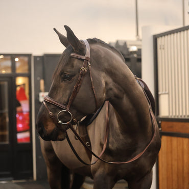 Tesoro Grazia Bridle with reins
