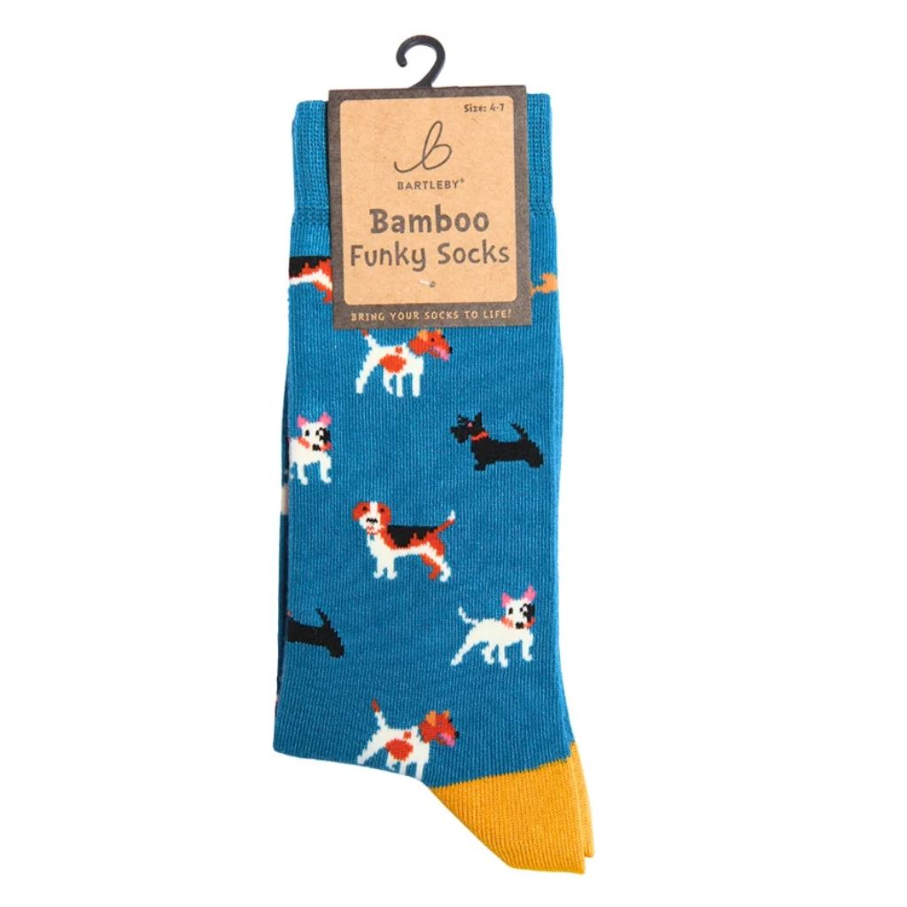 Otterdene Funky Bamboo Socks