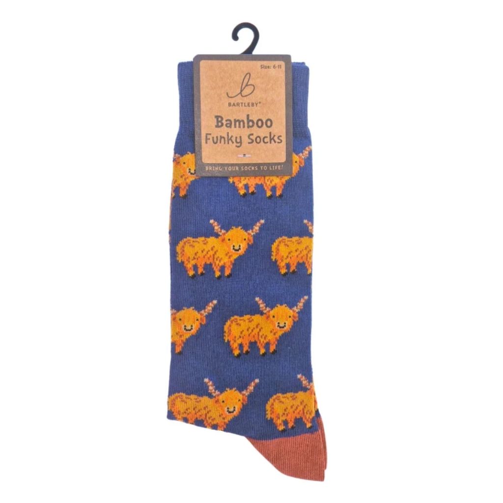 Otterdene Funky Bamboo Socks