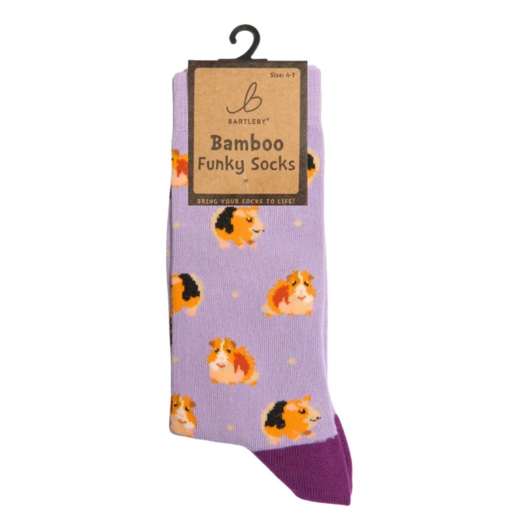 Otterdene Funky Bamboo Socks