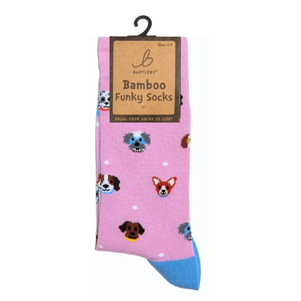 Otterdene Funky Bamboo Socks