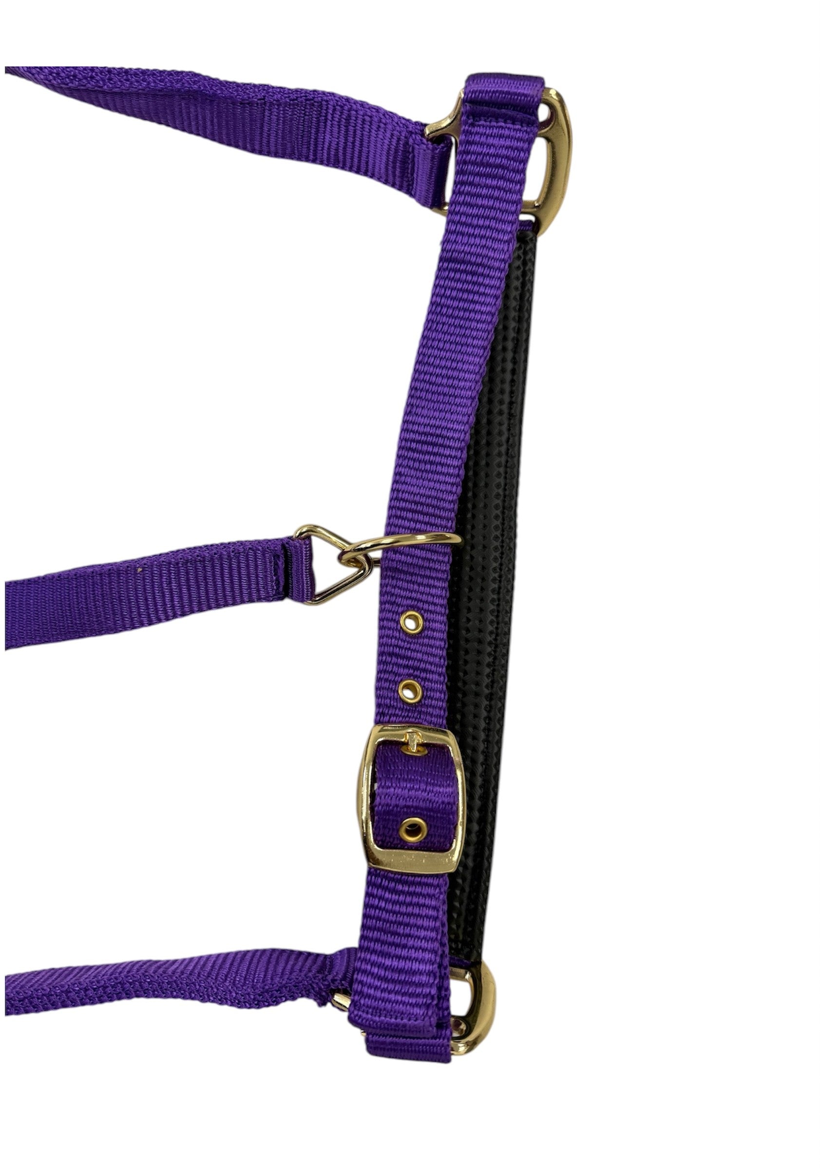 Turfmasters Durable Comfort-Padded Nylon Horse Halter
