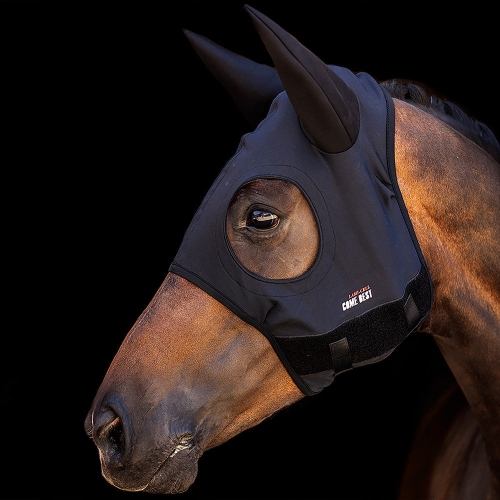 Zilco Titanium Hoods with Ears Black