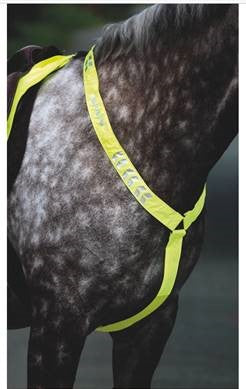 Equiflector Breastplate