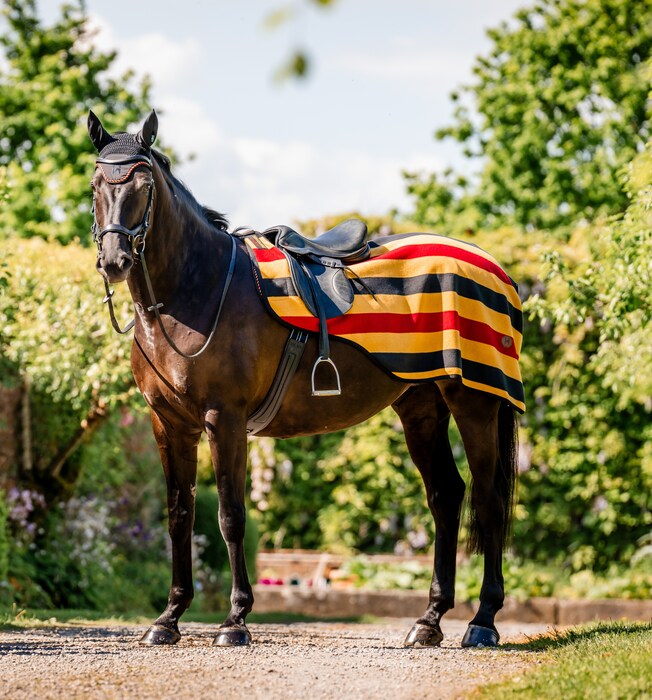 Horseware Newmarket Exercise Sheet