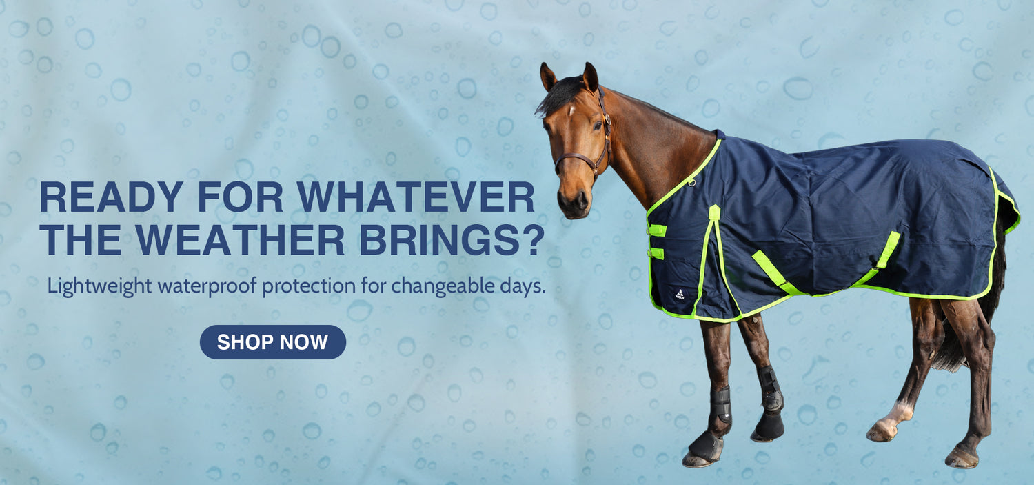 TRI Equestrian
