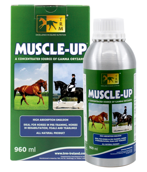Muscle-Up