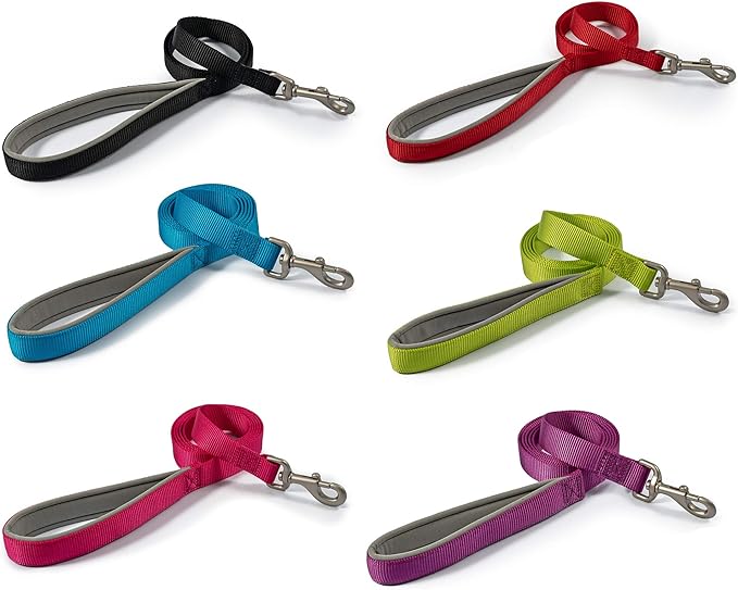 Viva Padded Nylon Lead
