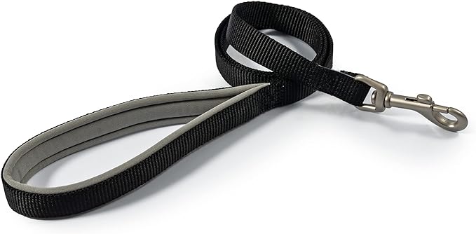 Viva Padded Nylon Lead