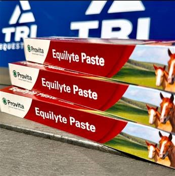 Provita Equilyte Paste 30g Syringe