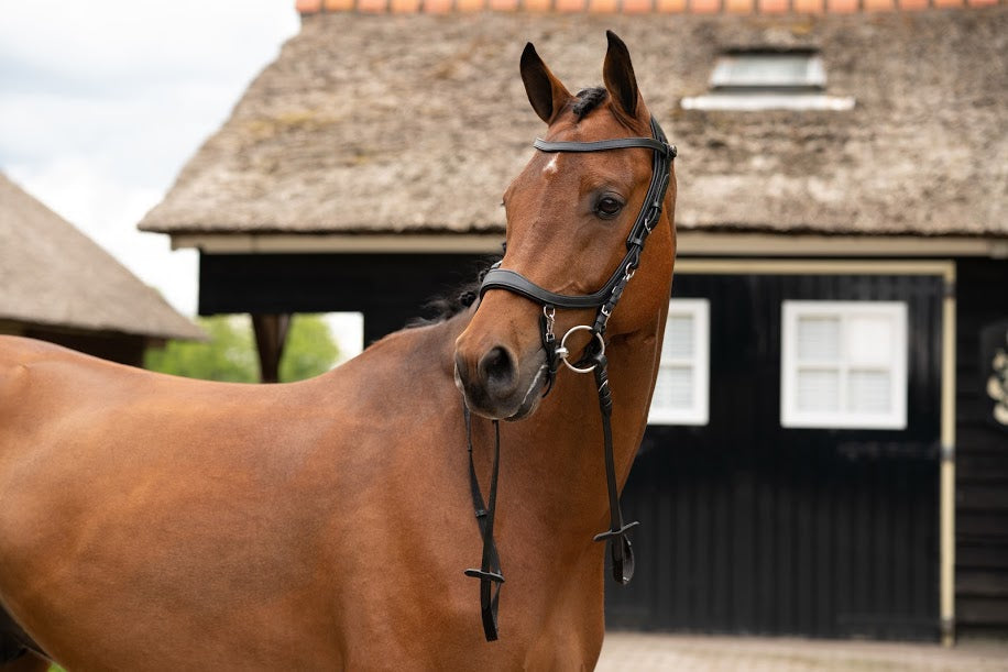 PresTeq FaySport 12-Point Anatomical Leather Bridle