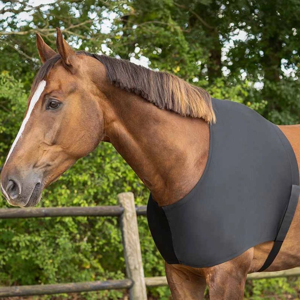 QHP Stretch Shoulder Rug Black