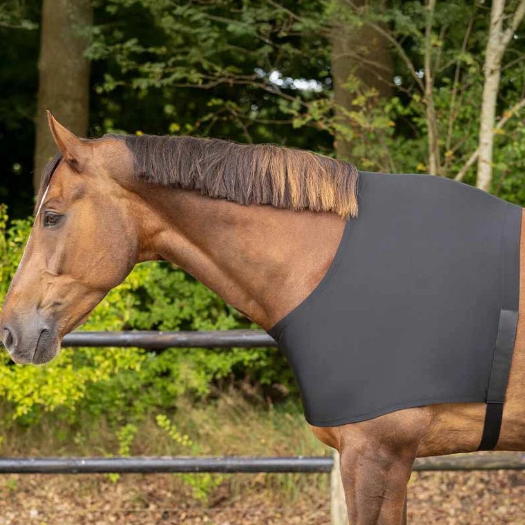 QHP Stretch Shoulder Rug Black