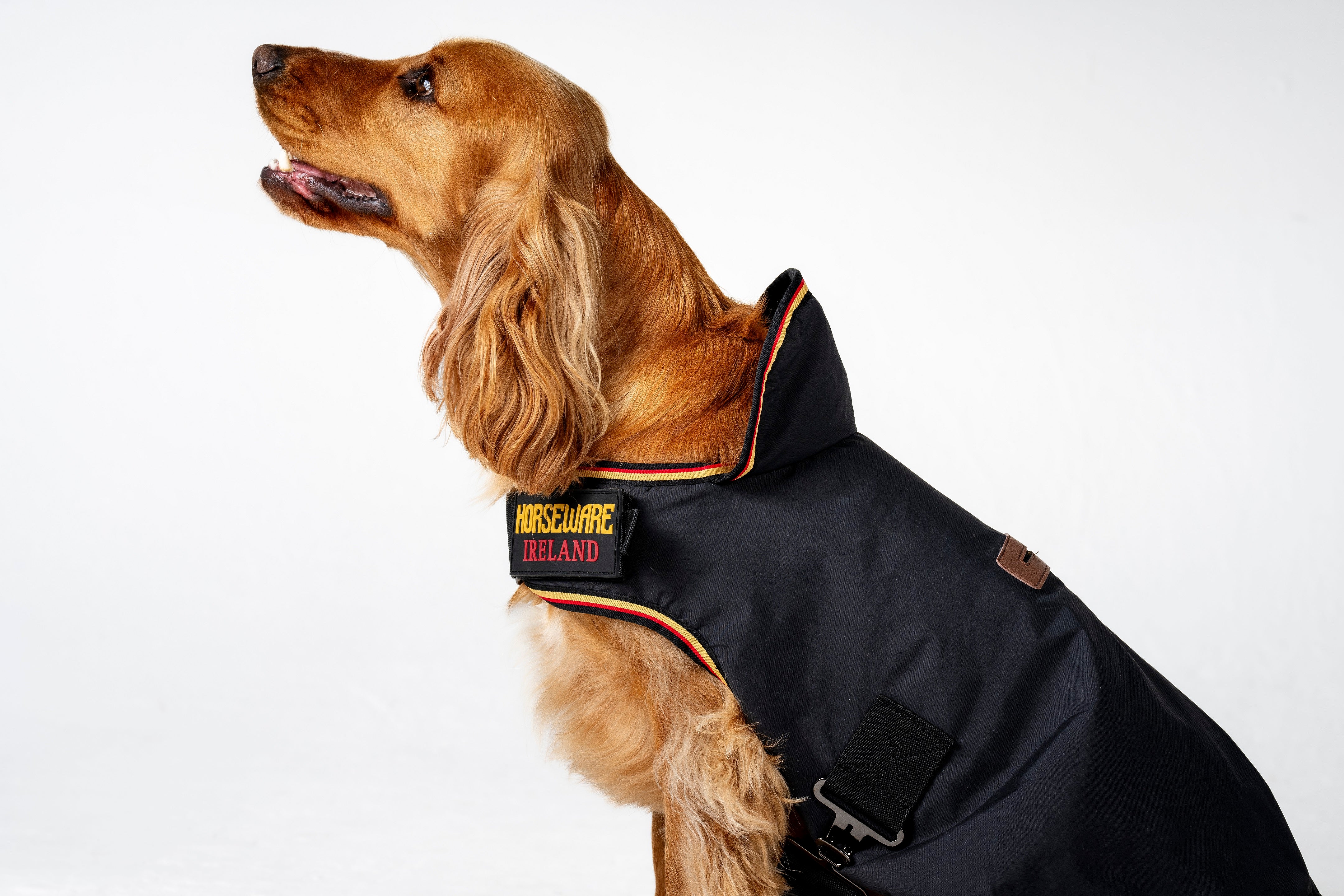 Horseware Newmarket Dog Coat - Witney Gold