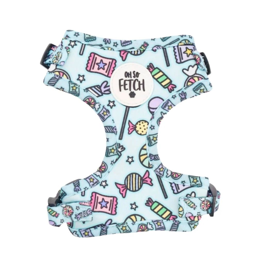 Oh So Fetch Padded Dog Harness