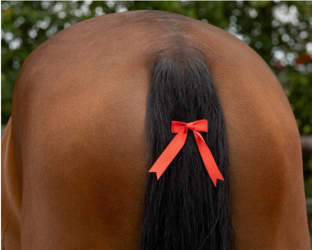 QHP Warning Bow Red