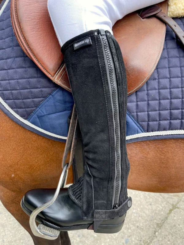 Suede Chaps Reinforced Black