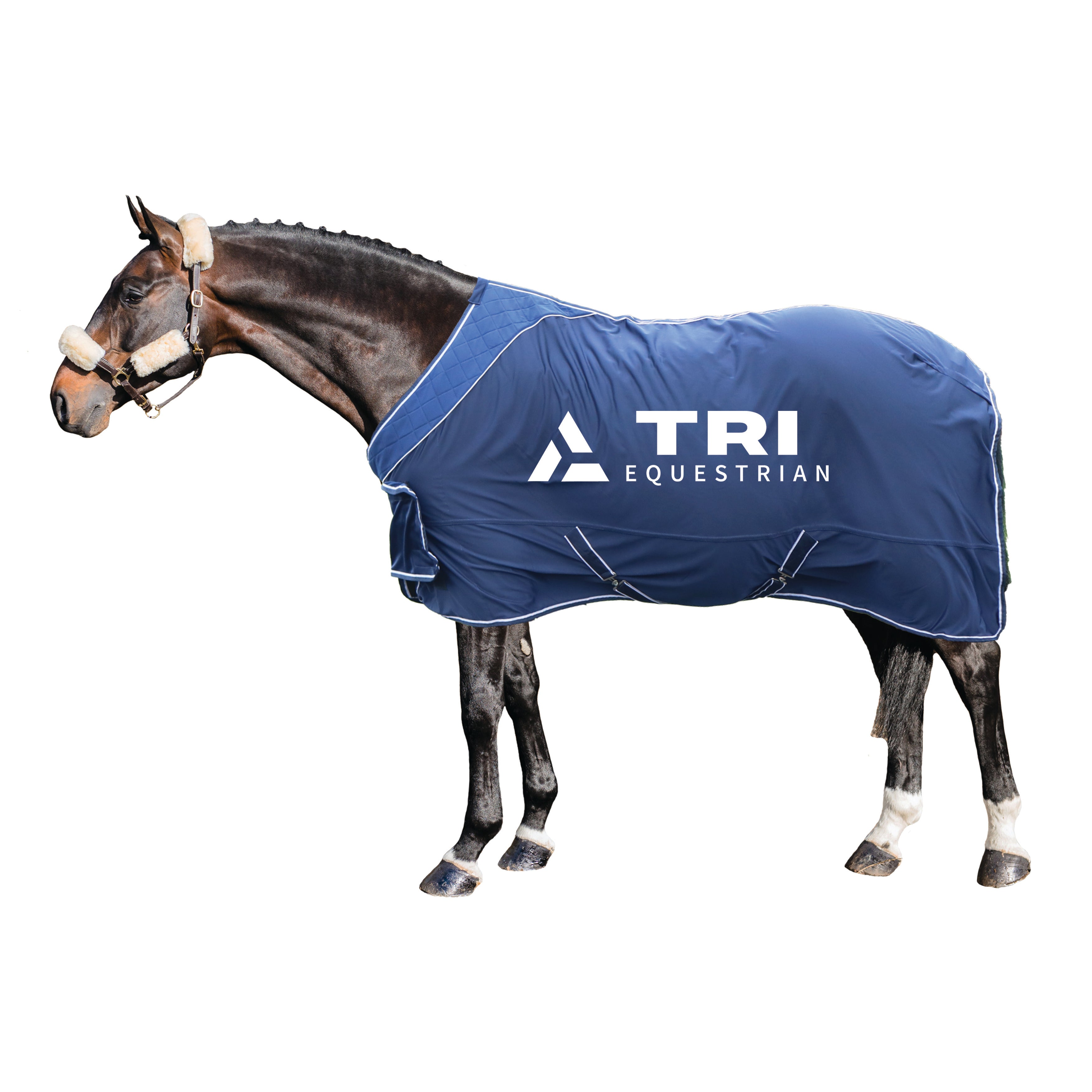 TRI Elite Logo Cooler Navy