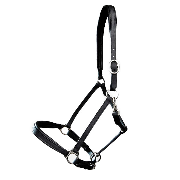 Turfmaster Padded Leather Halter Black