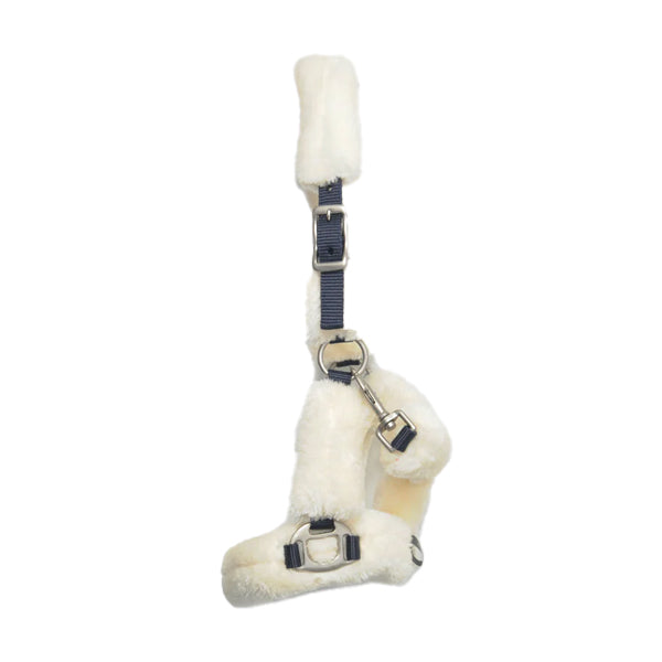 Turfmaster Teddy  Headcollar