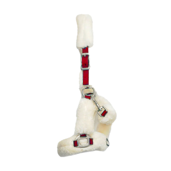 Turfmaster Teddy Headcollar