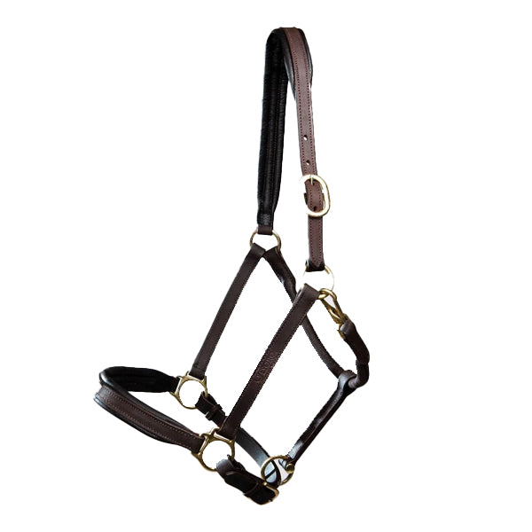 Turfmasters Padded Leather Halter Brown