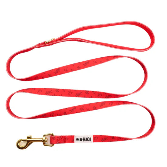 Oh So Fetch Pet Lead