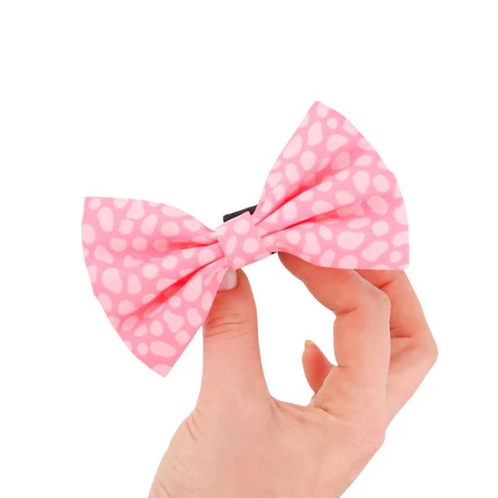 Oh So Fetch Classic Dog Bow Tie