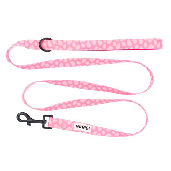 Oh So Fetch Pet Lead