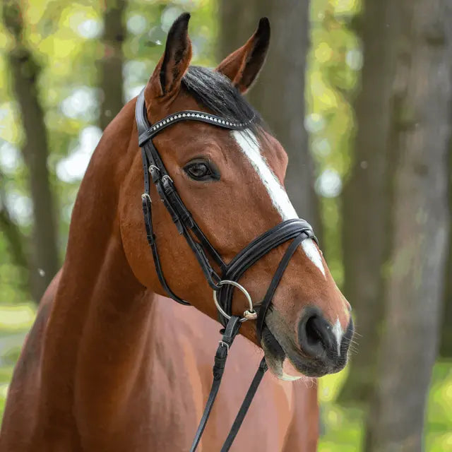 Turnado Loose Ring Snaffle 16mm Single Joined Sensogan with 70mm S/Steel Ring