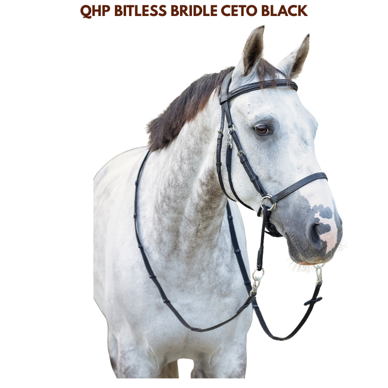 QHP Bitless Bridle Ceto Black