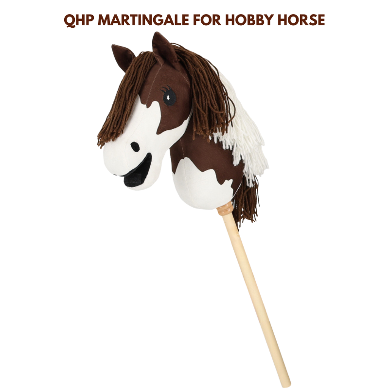 QHP Martingale for Hobby Horse