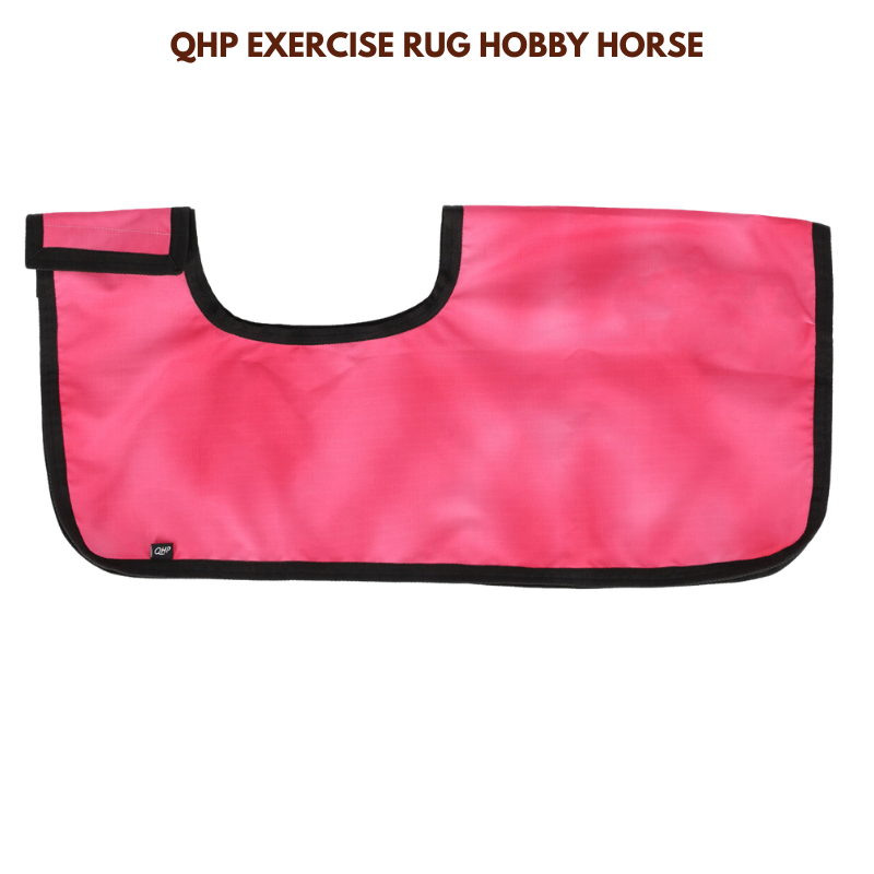 QHP Exercise Rug Hobby Horse