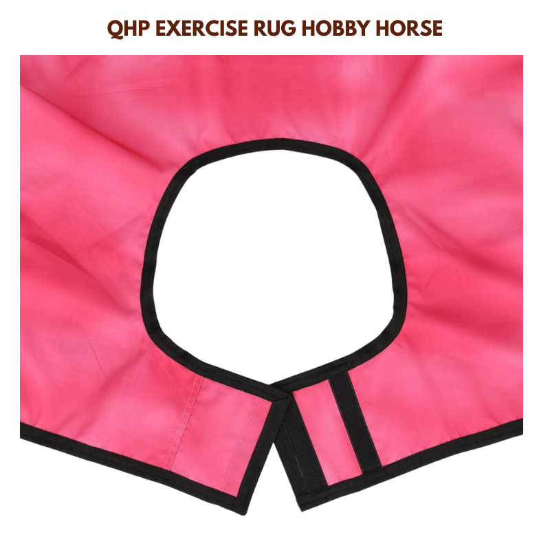 QHP Exercise Rug Hobby Horse