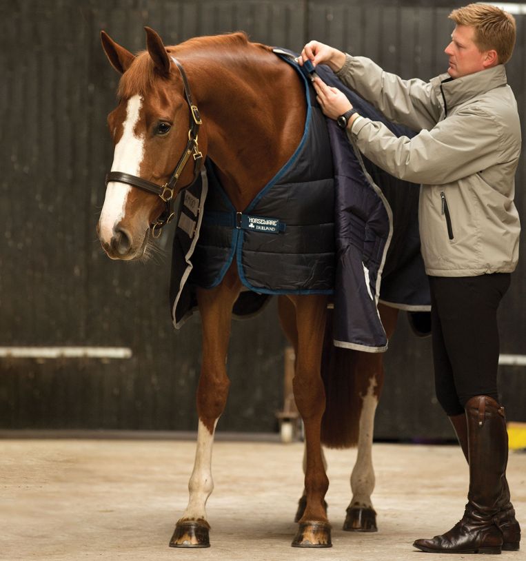 Horseware Rug Liner - 100g - Navy