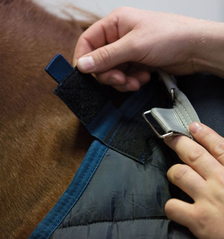 Horseware Rug Liner - 100g - Navy
