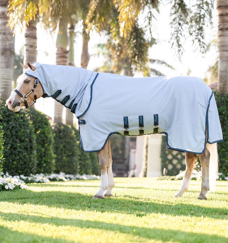 Amigo Ripstop Pony Hoody Azure Blue/Navy & Blue