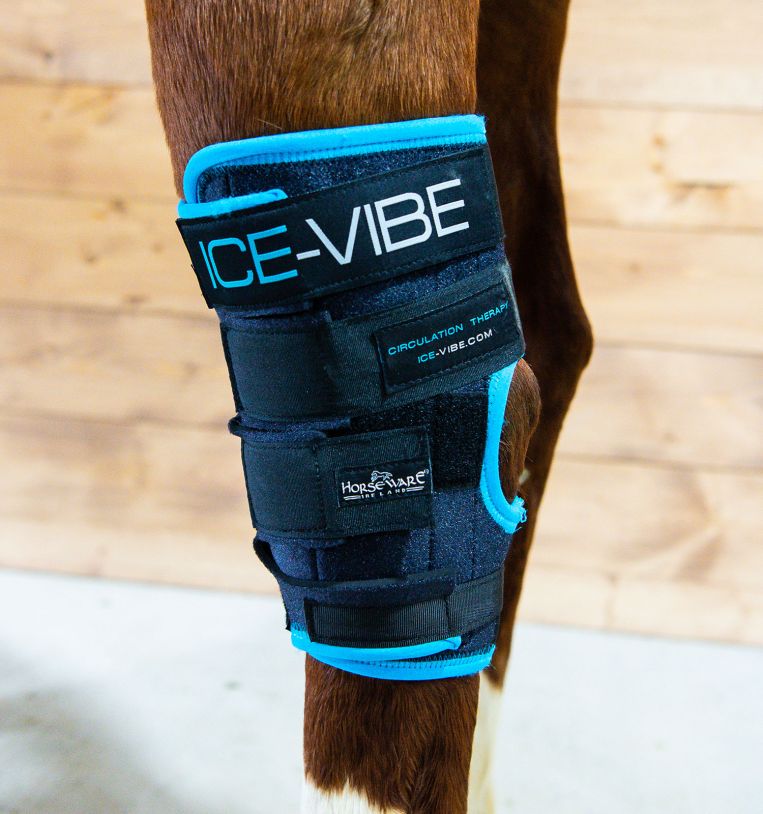 Ice Vibe Hock Wrap- Complete Set