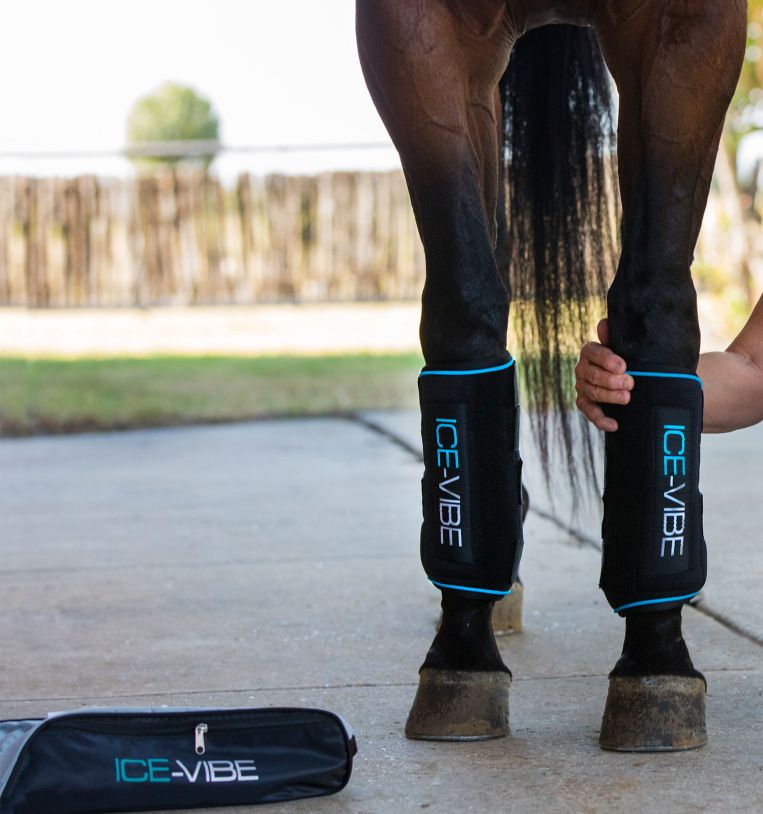 Ice Vibe Boot by Horseware Black/Blue