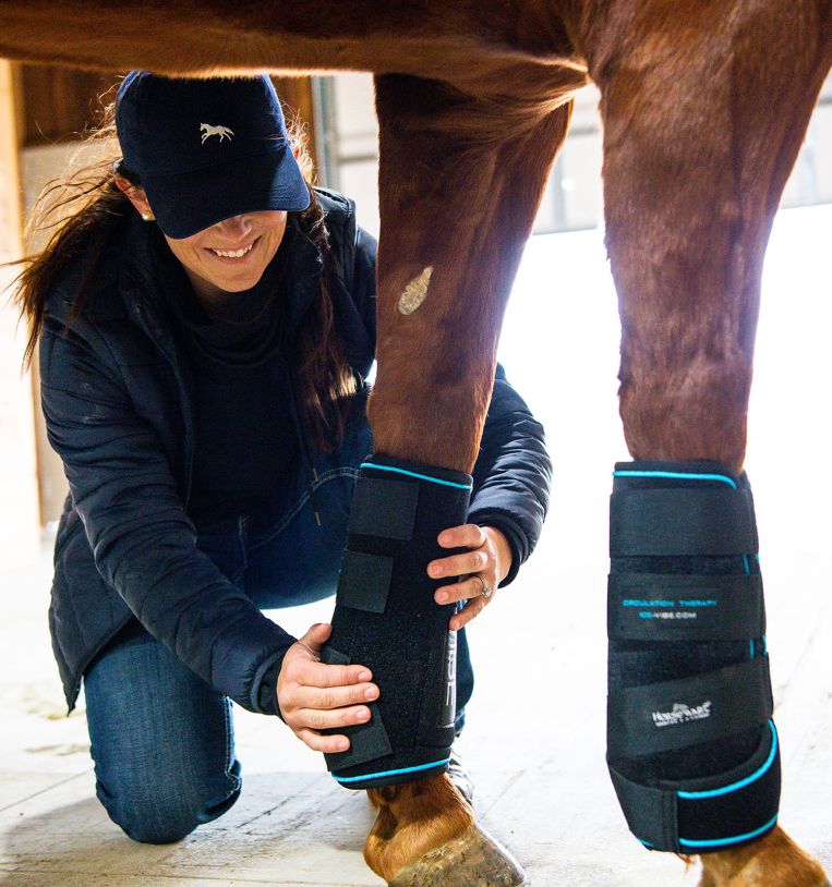 Ice Vibe Boot by Horseware Black/Blue