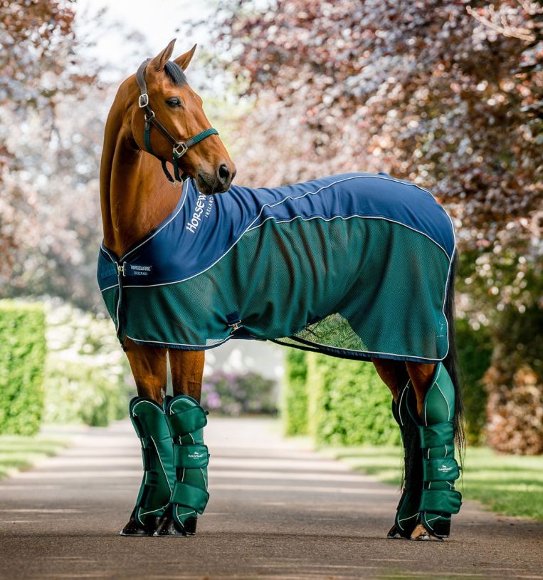 Horseware Signature Travel Boots - Green - Set of 4