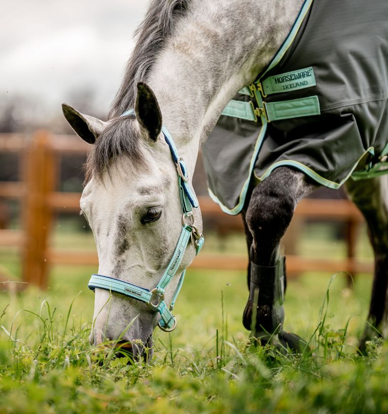 Horseware Field Safe Headcollar