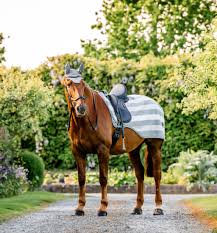 Horseware Newmarket Exercise Sheet